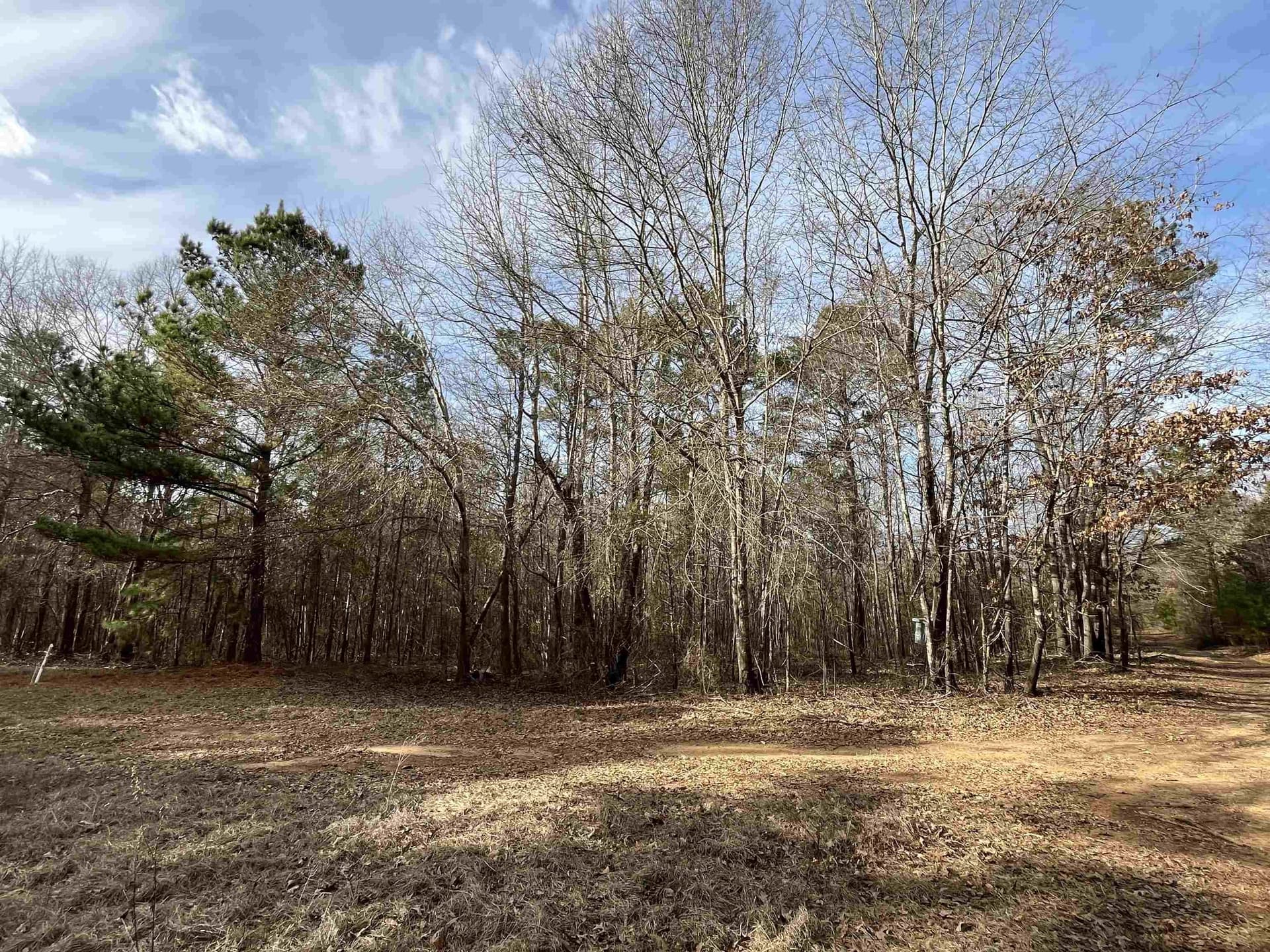 132 acres in Gregg County - photo 28