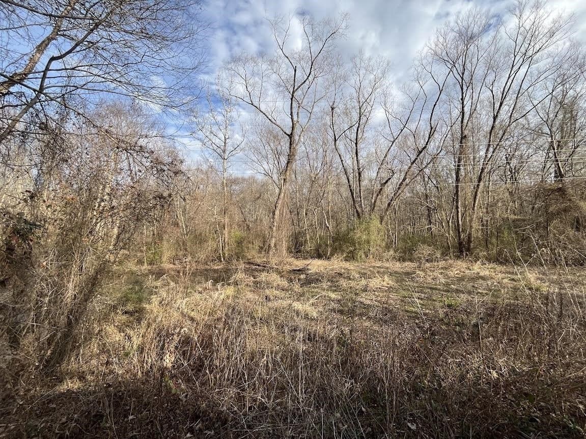 132 acres in Gregg County - photo 32