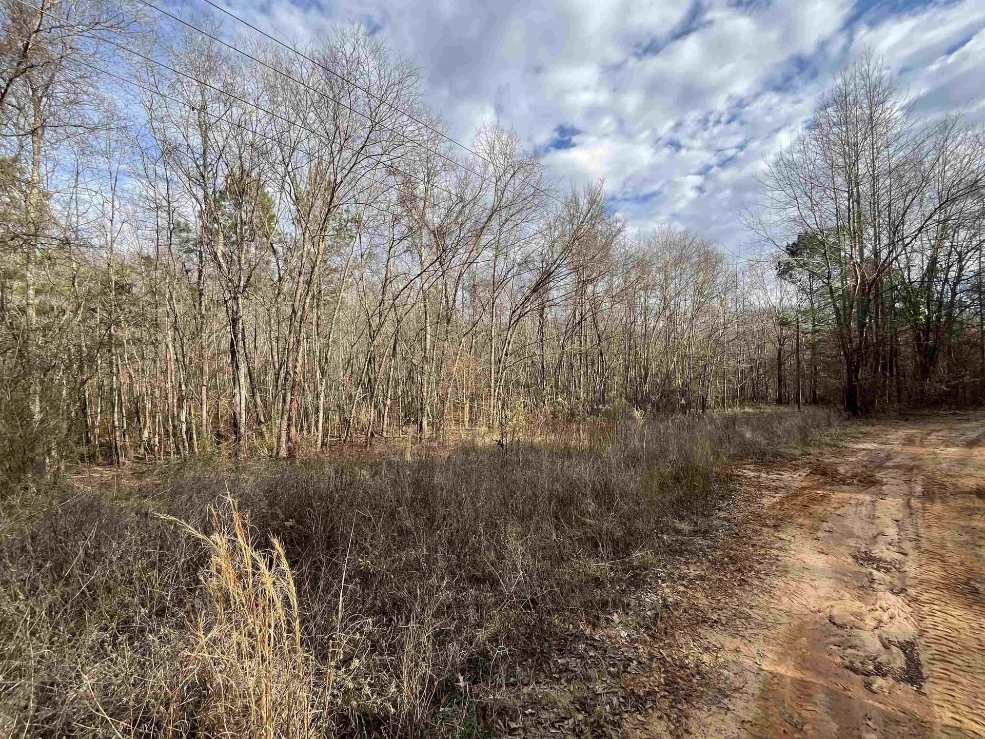 132 acres in Gregg County - photo 30