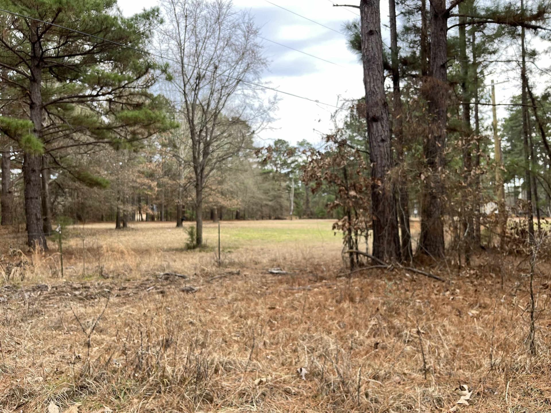 132 acres in Gregg County - photo 9