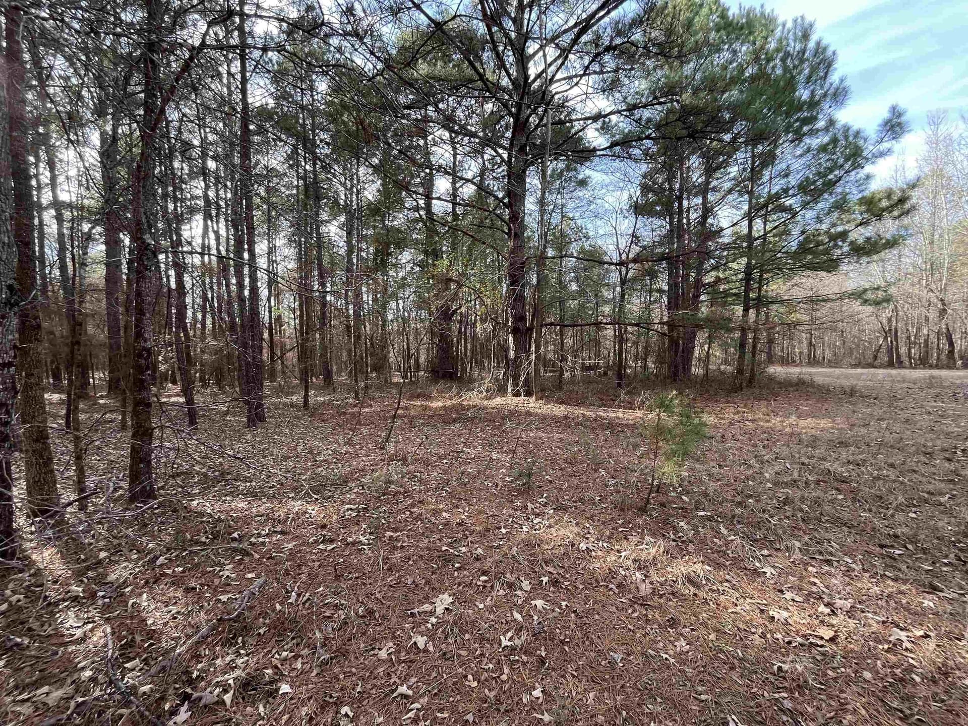 132 acres in Gregg County - photo 14