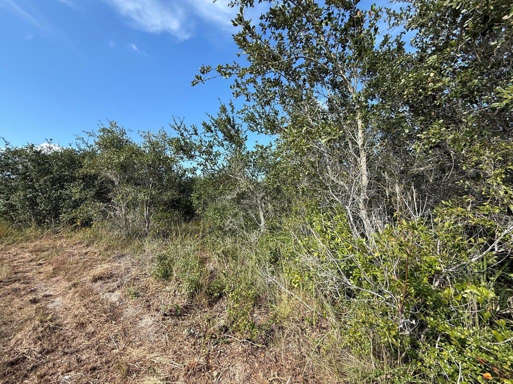 68 acres in Texas County - photo 7