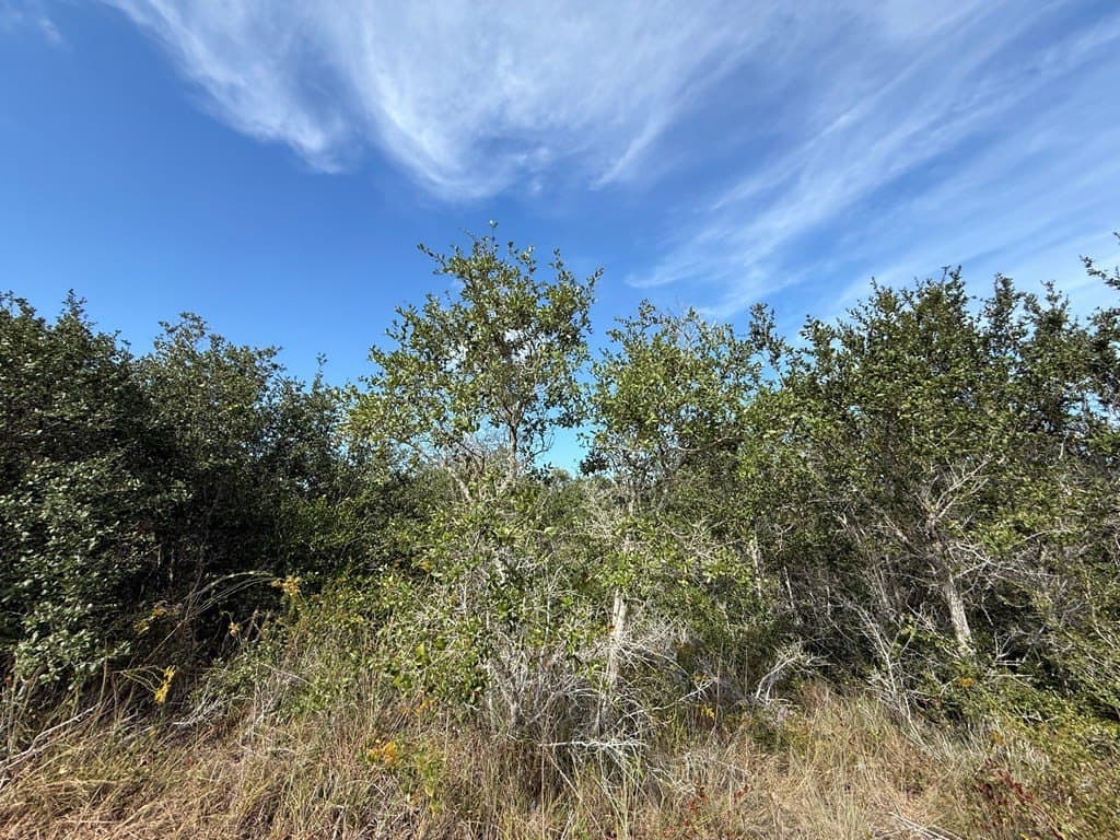 68 acres in Texas County - photo 8