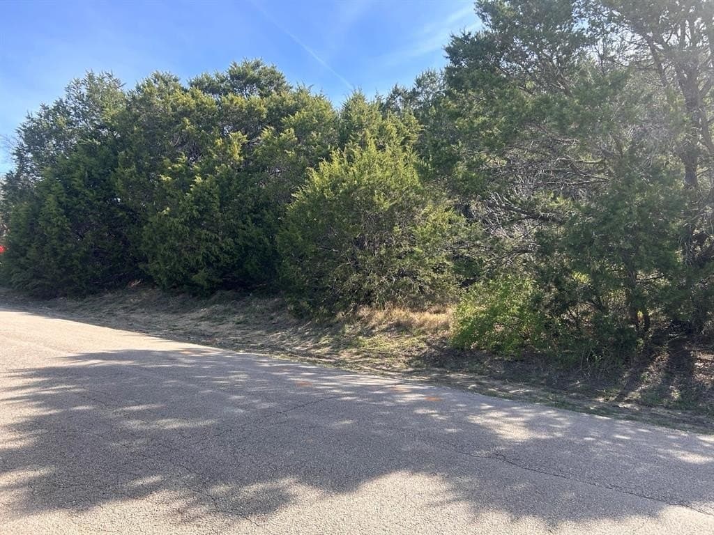 0.05 acres in Hood County - photo 2