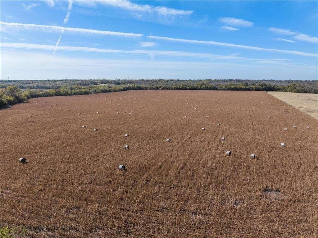 175.61 acres in Milam County - photo 8