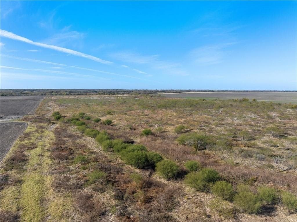 175.61 acres in Milam County - photo 3