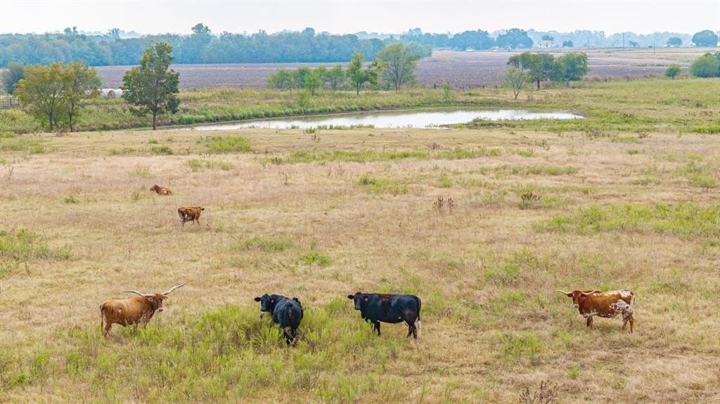 32.92 acres in McLennan County - photo 17