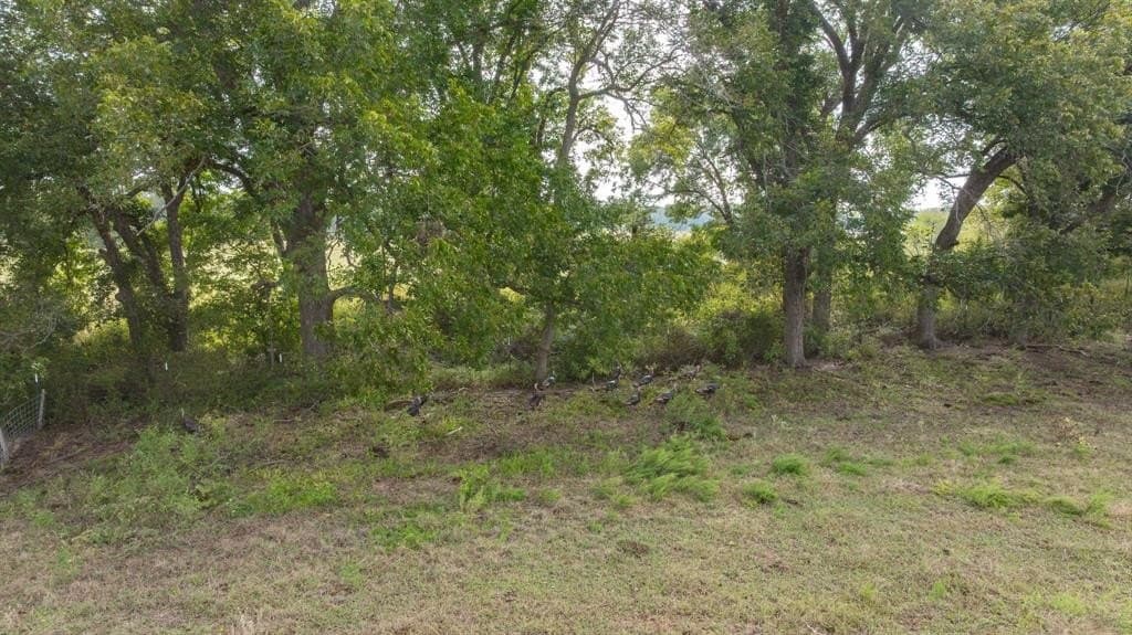 32.92 acres in McLennan County - photo 20