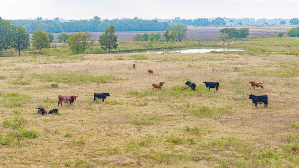 32.92 acres in McLennan County - photo 16