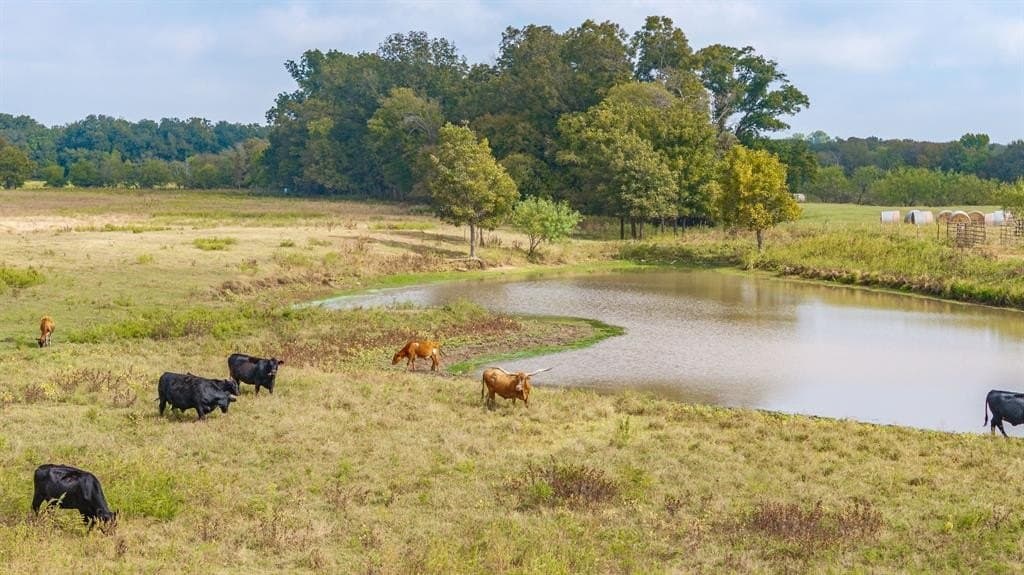 32.92 acres in McLennan County - photo 38