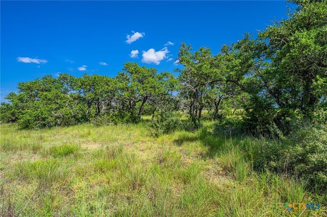 5.41 acres in Blanco County - photo 4