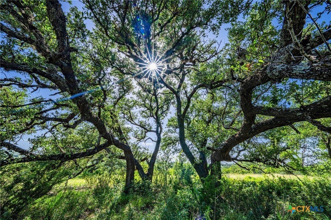 5.41 acres in Blanco County - photo 5