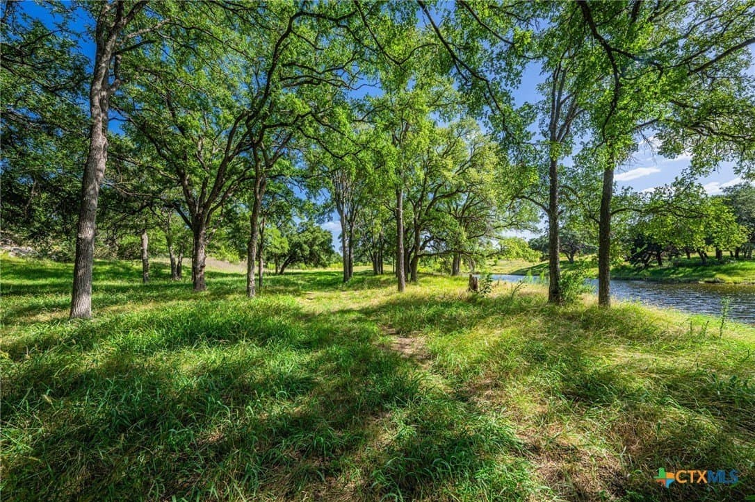 5.41 acres in Blanco County - photo 3