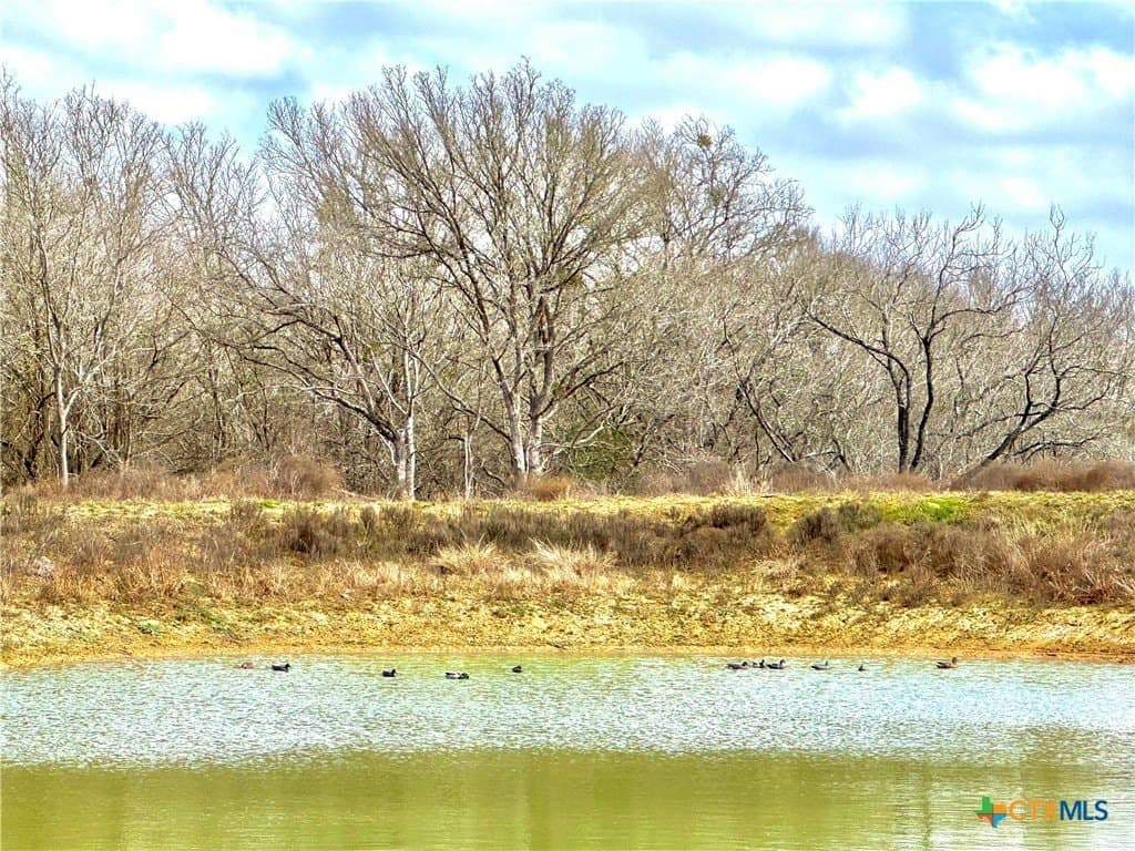 10.18 acres in Gonzales County - photo 11