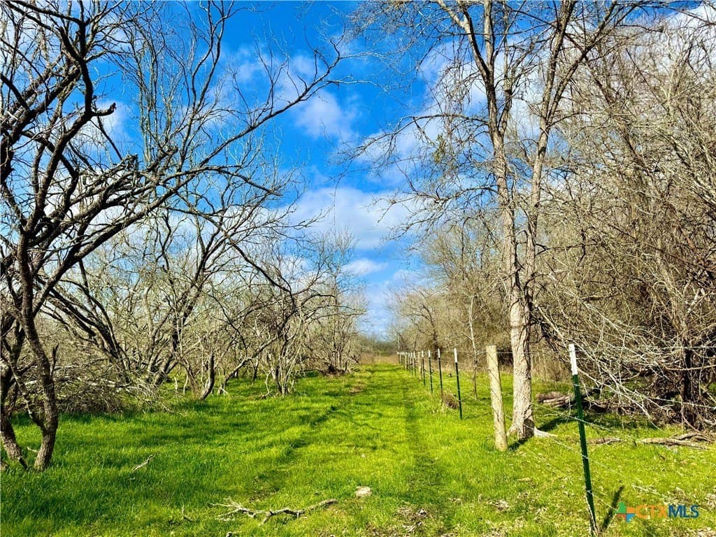 10.18 acres in Gonzales County - photo 14