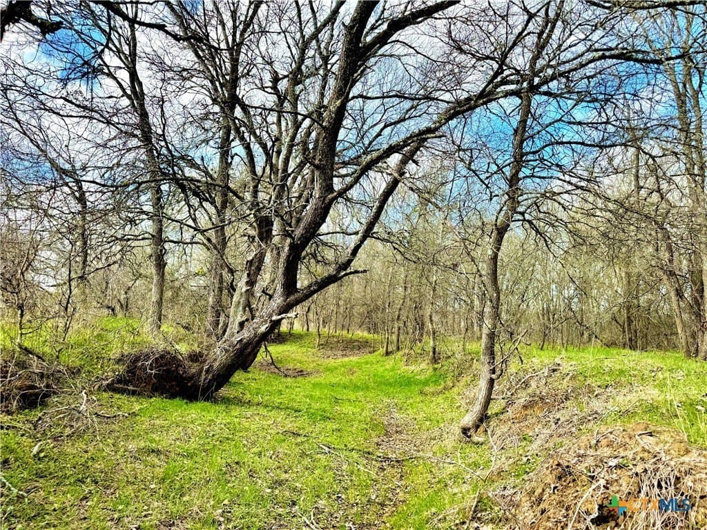 10.18 acres in Gonzales County - photo 15