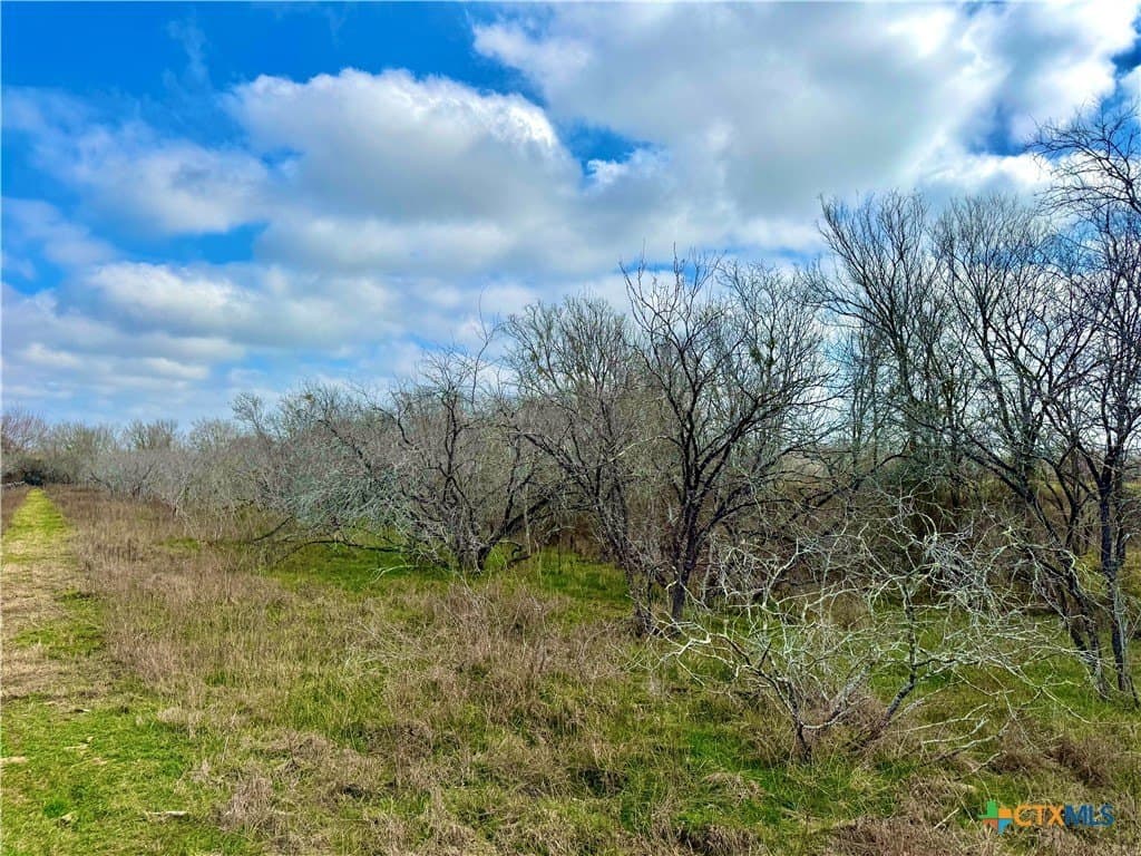 10.18 acres in Gonzales County - photo 13