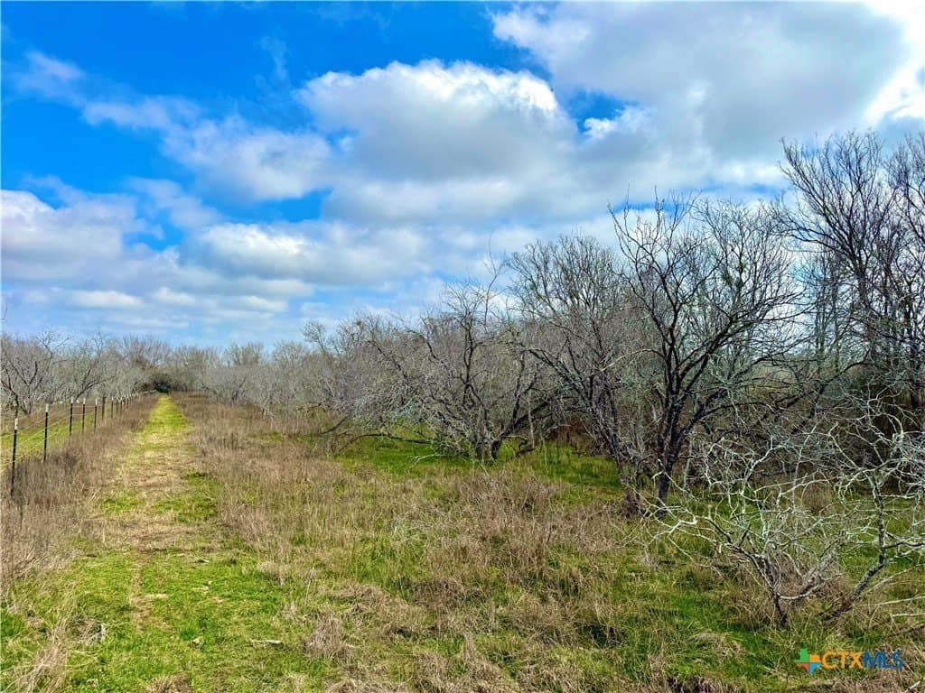 10.18 acres in Gonzales County - photo 12