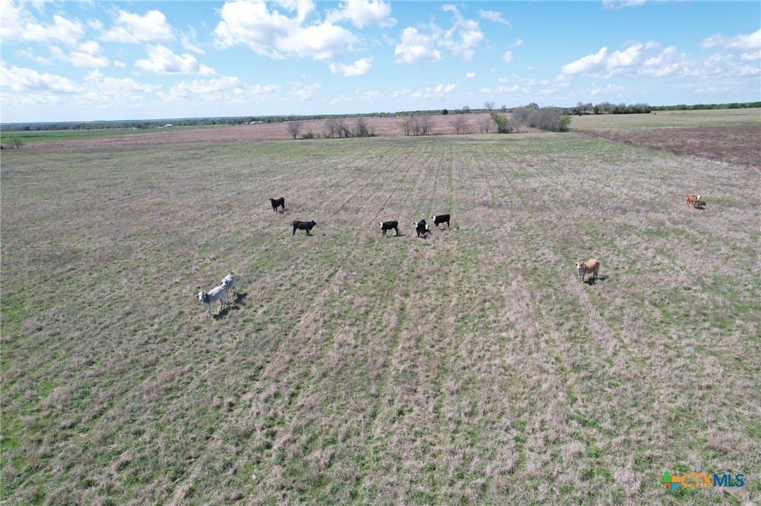 55 acres in Milam County - photo 9
