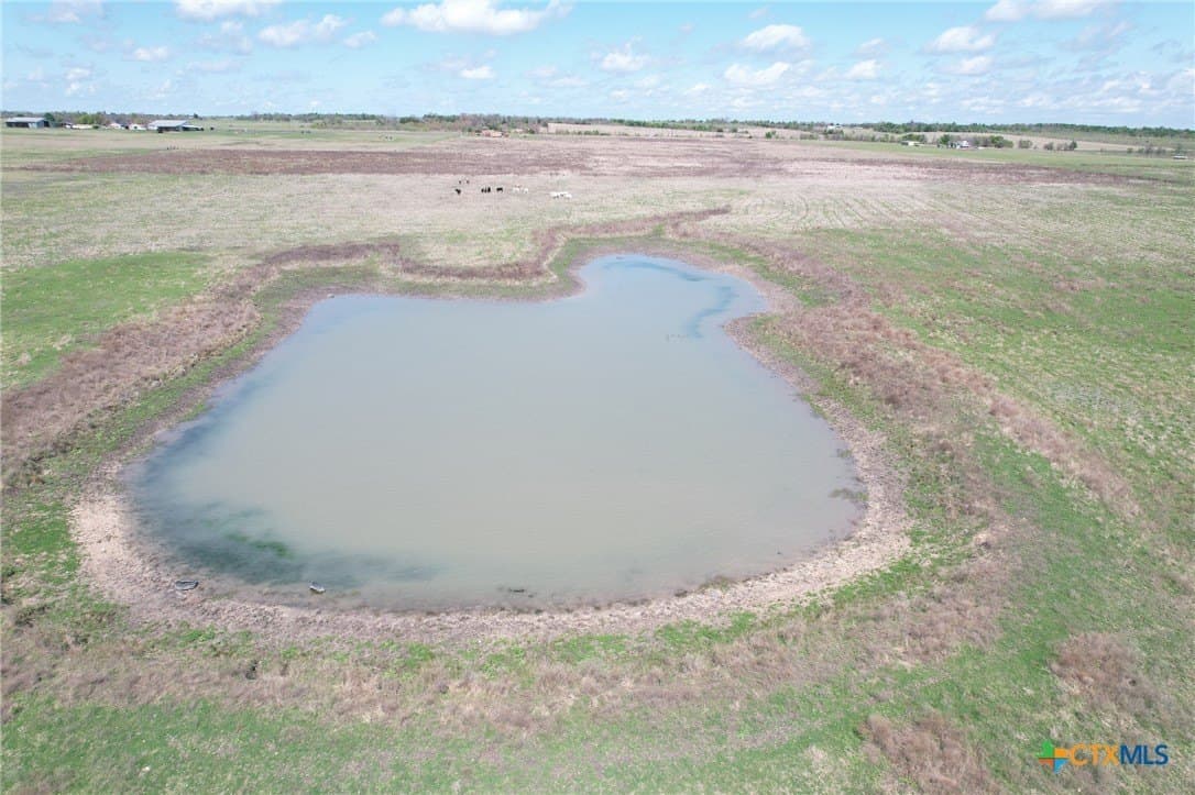 55 acres in Milam County - photo 3