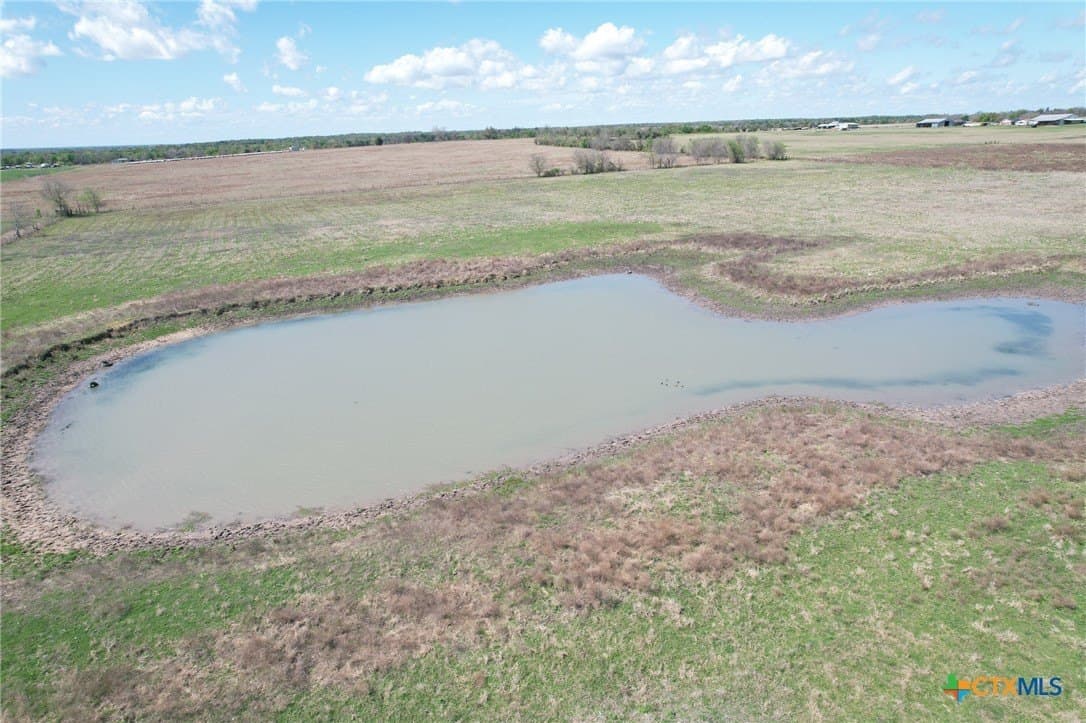 55 acres in Milam County - photo 4