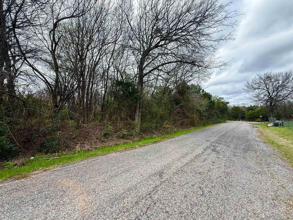 0.23 acres in Hood County - photo 2