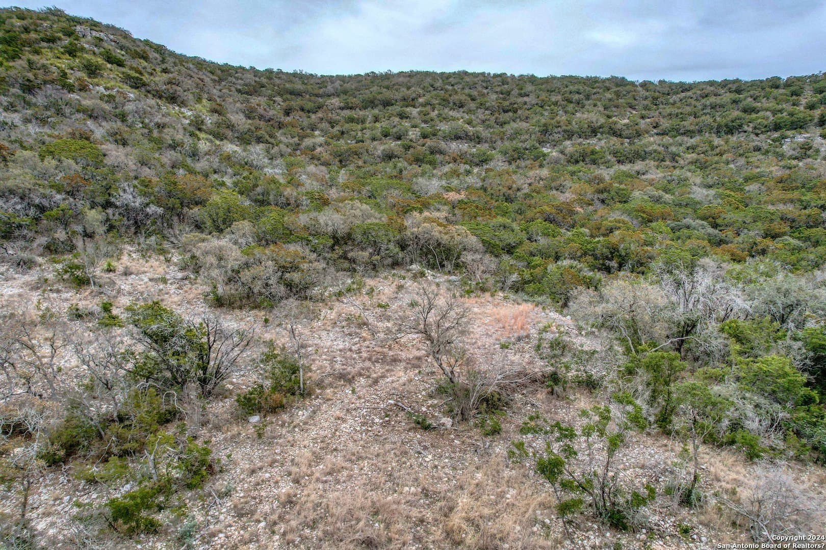 42 acres in Real County - photo 44