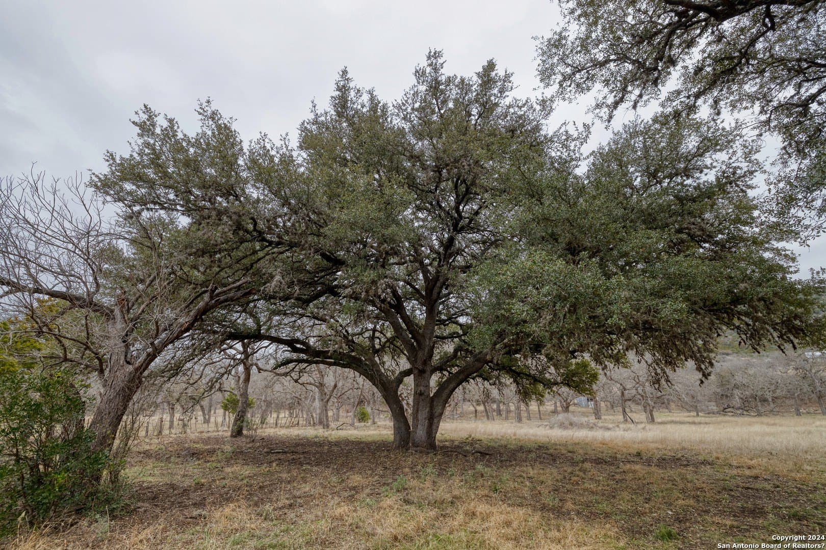 42 acres in Real County - photo 38