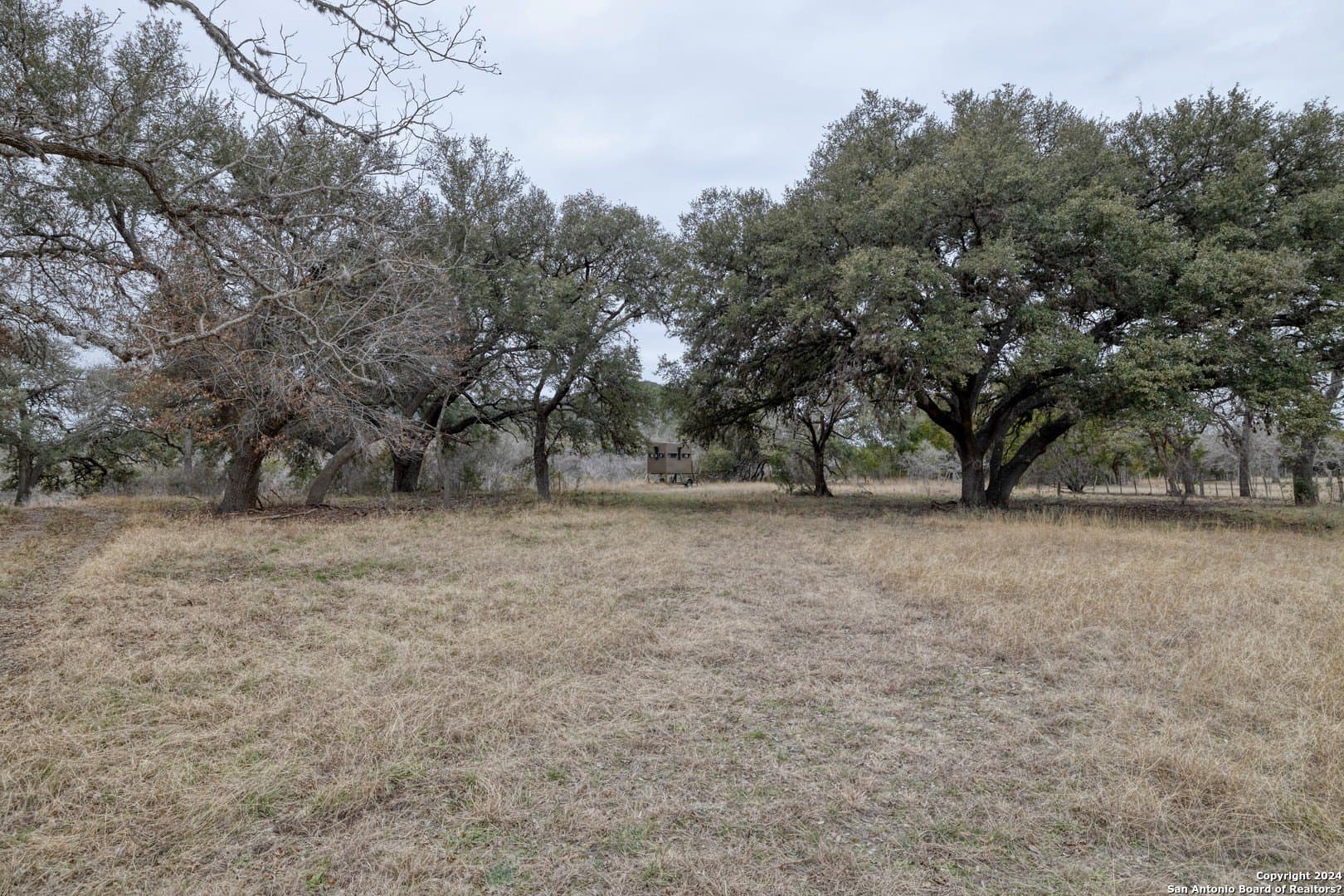42 acres in Real County - photo 42