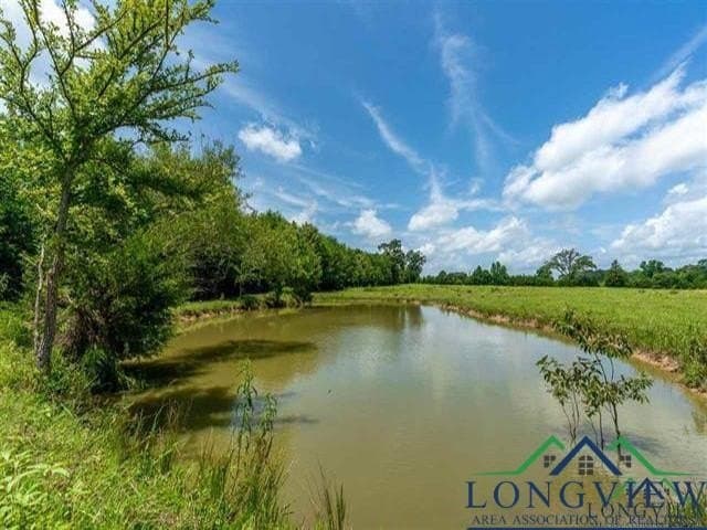 16.28 acres in Wood County - photo 3