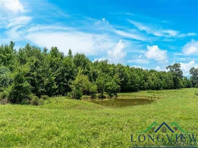 16.28 acres in Wood County - photo 4