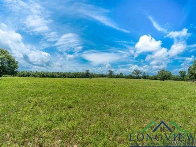 16.28 acres in Wood County - photo 5