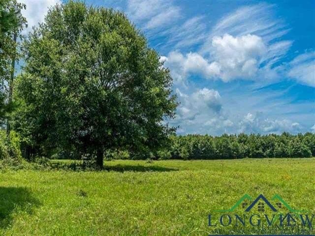 16.28 acres in Wood County - photo 6