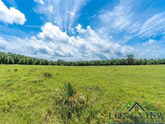 16.28 acres in Wood County - photo 2