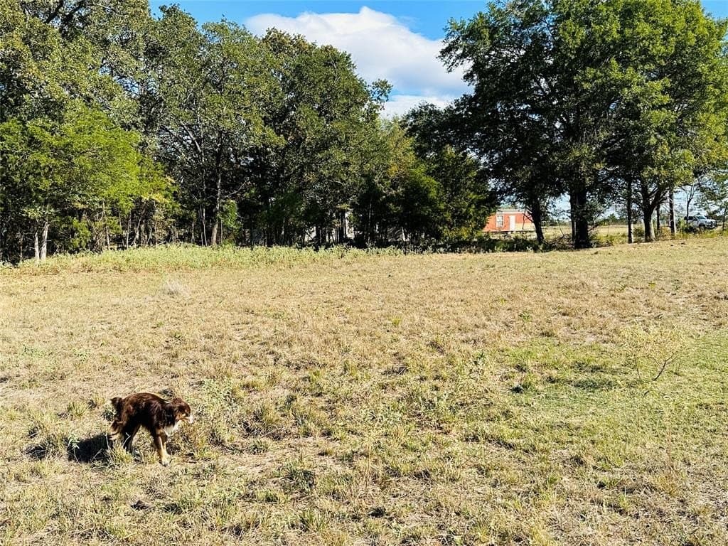 32.43 acres in Hopkins County - photo 14