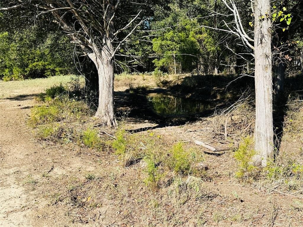 32.43 acres in Hopkins County - photo 8
