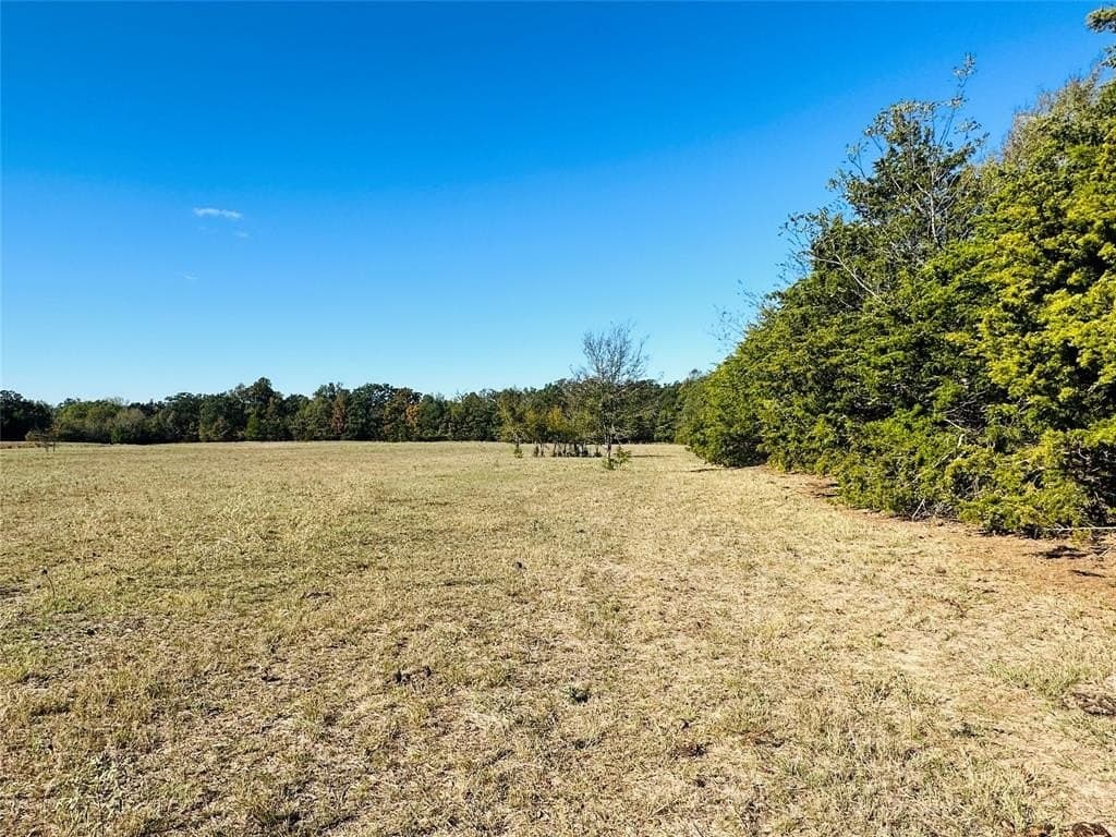 32.43 acres in Hopkins County - photo 23