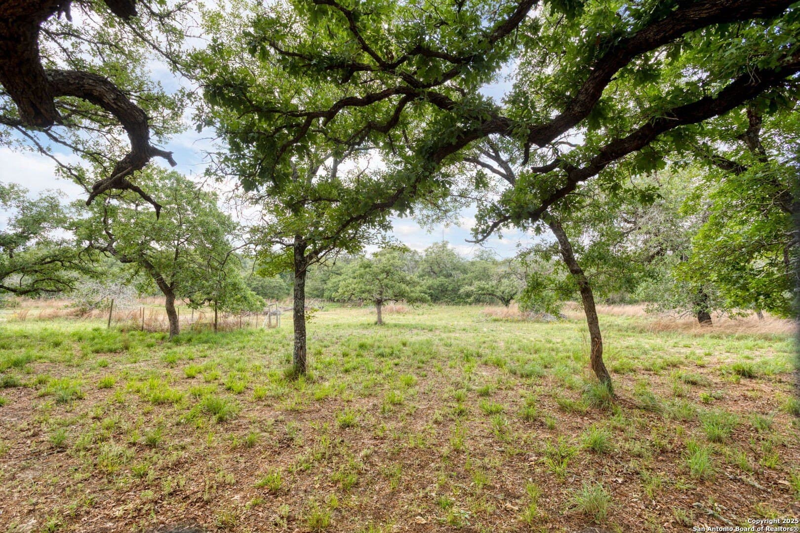 20 acres in Guadalupe County - photo 38