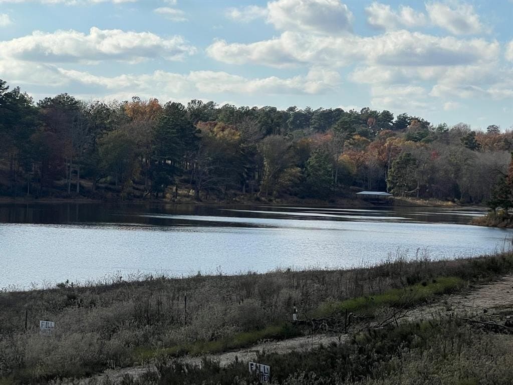 10.01 acres in Leon County - photo 7