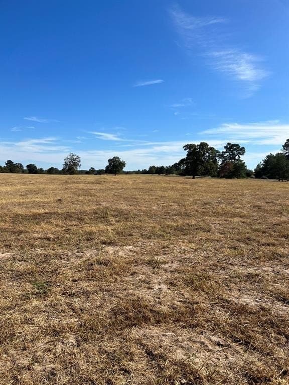 10.01 acres in Leon County - photo 11