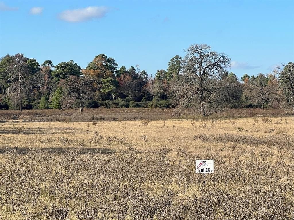 10.01 acres in Leon County - photo 5