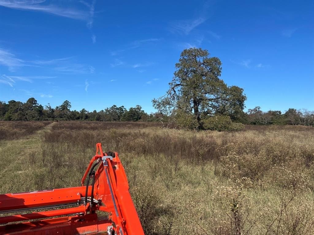 10.01 acres in Leon County - photo 3
