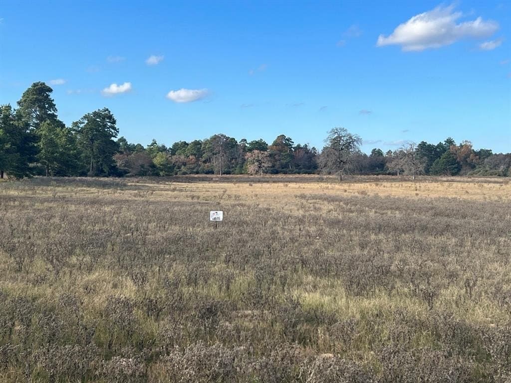 10.01 acres in Leon County - photo 6