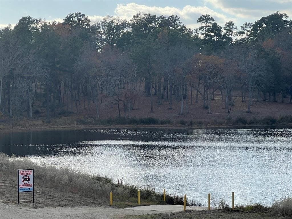 10.01 acres in Leon County - photo 9