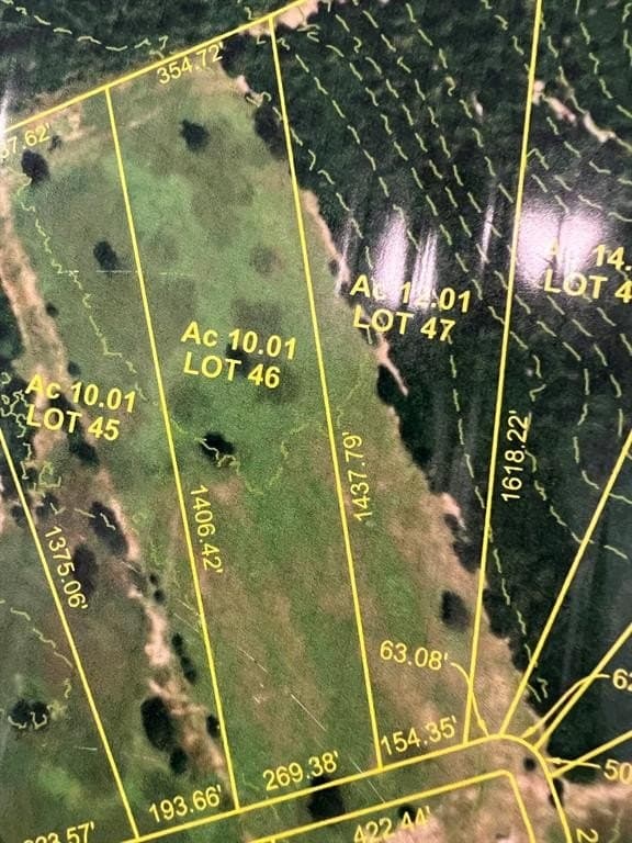10.01 acres in Leon County - photo 13
