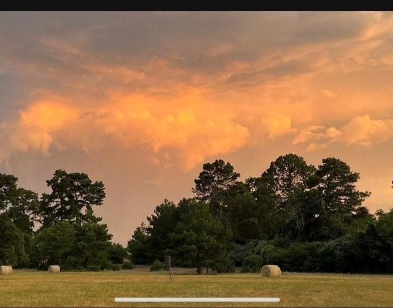 10.01 acres in Leon County - photo 4