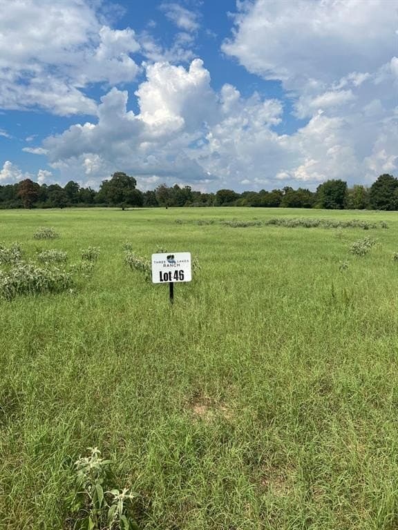 10.01 acres in Leon County - photo 12