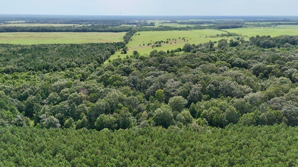 185 acres in Texas County - photo 6