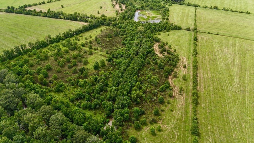 185 acres in Texas County - photo 14