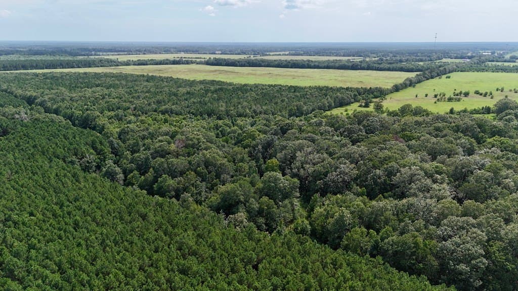 185 acres in Texas County - photo 7